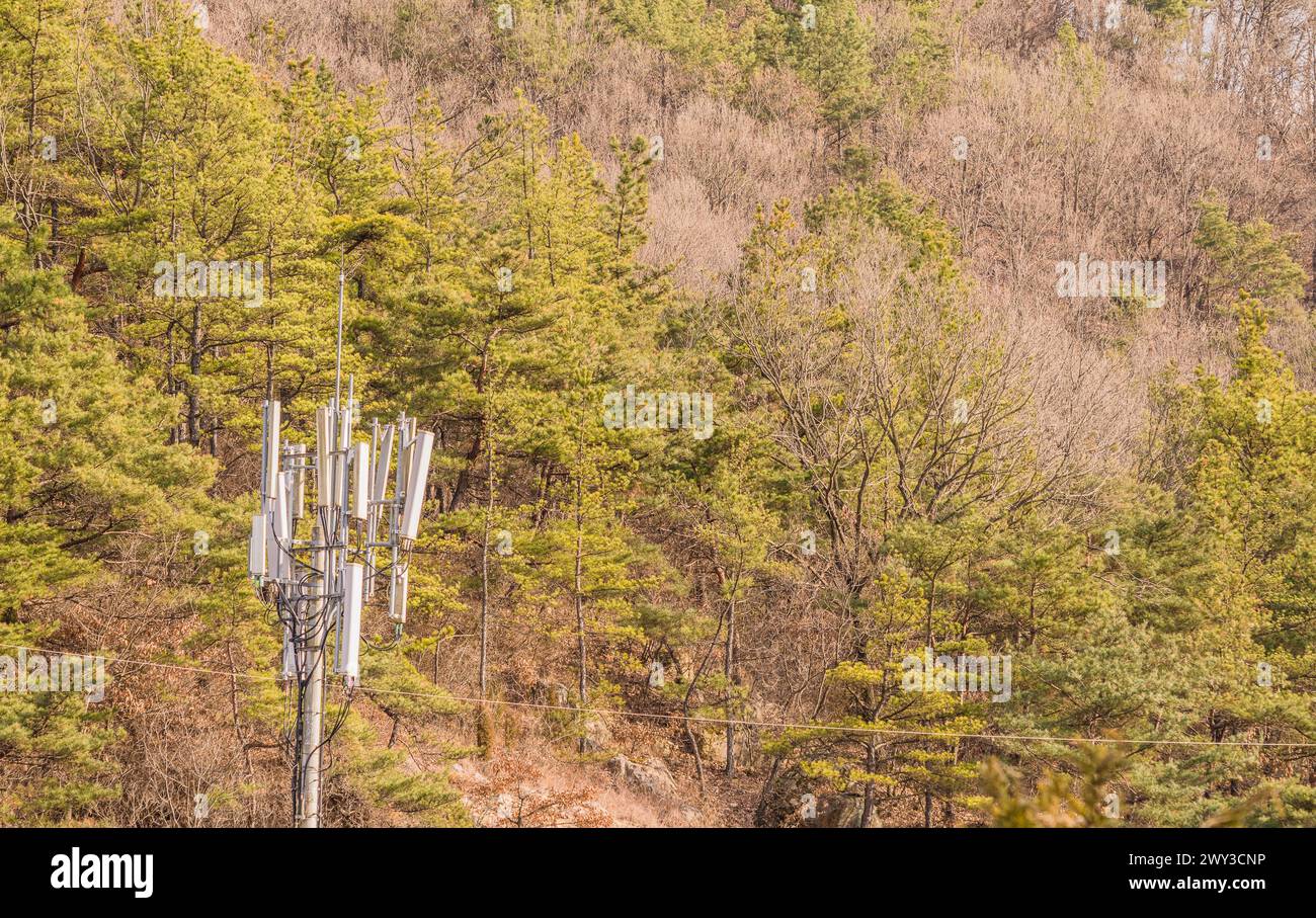 Torre cellulare tra alberi in erba su una collina che simboleggia l'invasione della tecnologia, in Corea del Sud Foto Stock