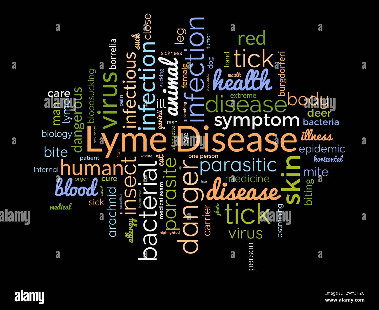 Malattia di Lyme parola nuvola modello. Informazioni vettoriali sul concetto di consapevolezza sanitaria e medica. Illustrazione Vettoriale