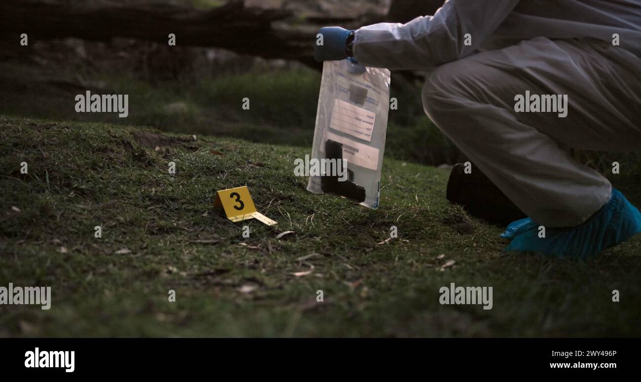 Scena del crimine, pistola e investigatore con prove all'aperto per analisi forensi, analisi e indagini nella foresta o nella natura. Persona mani con arma, dpi Foto Stock