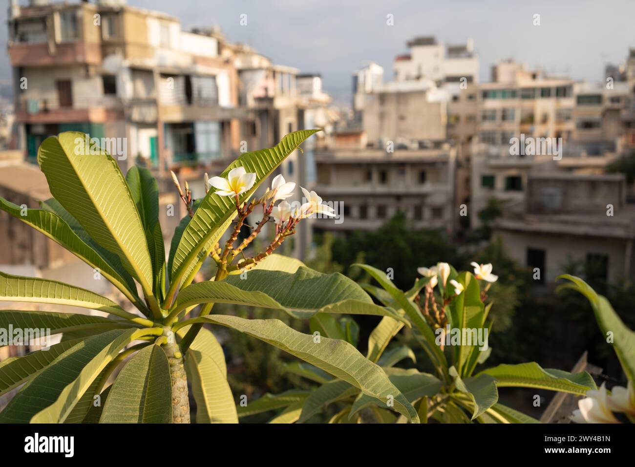 Lo skyline di Beirut, Libano Foto Stock