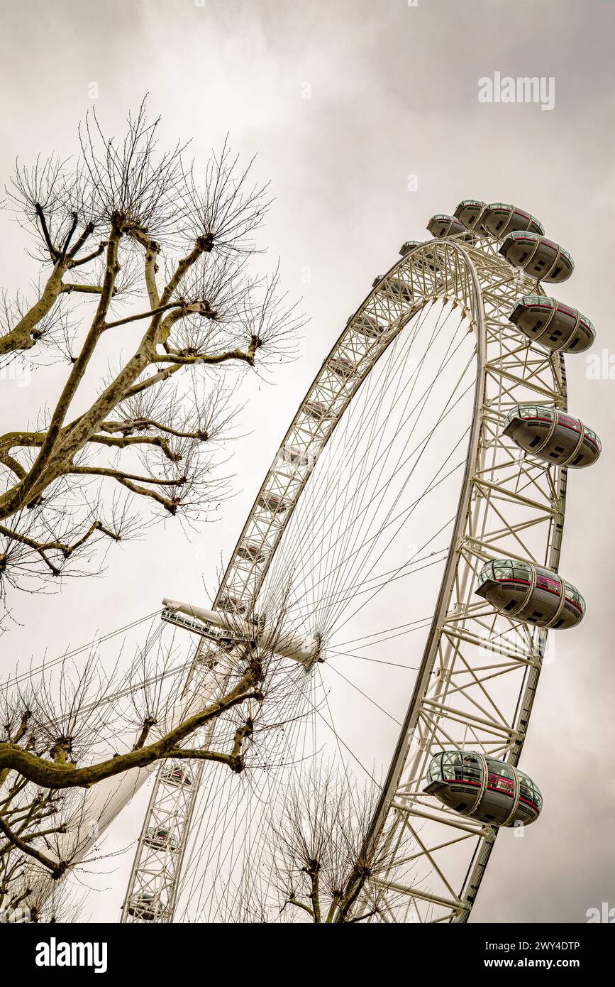 Il London Eye, la ruota panoramica a sbalzo più alta d'Europa, si trova sulla sponda sud del Tamigi e l'attrazione turistica a pagamento più popolare del Regno Unito. Foto Stock