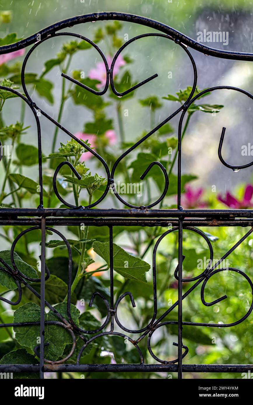 Un cancello di metallo nero con fiori all'interno Foto Stock