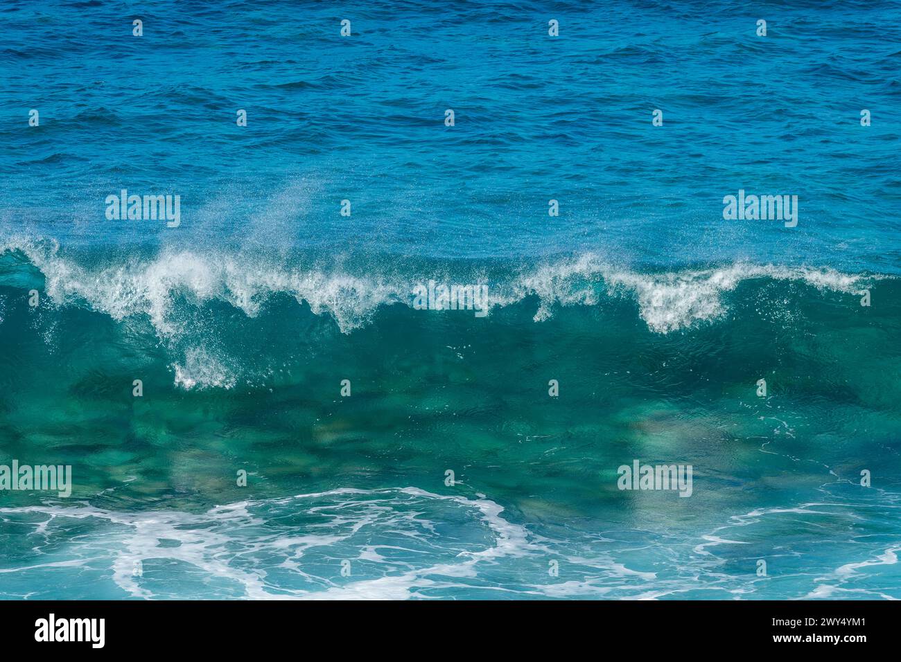 Vista frontale di un'onda che si schianta. Spruzzo d'acqua trasparente e blu, sfondo oceano. Foto Stock