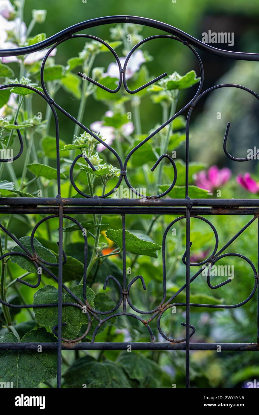 Un uccello seduto su una recinzione vicino a fiori in fiore Foto Stock