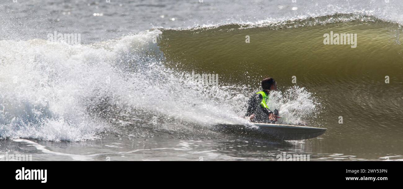 Un surfista maschio che si è spazzato via e cade nell'onda su cui stava cavalcando. Foto Stock