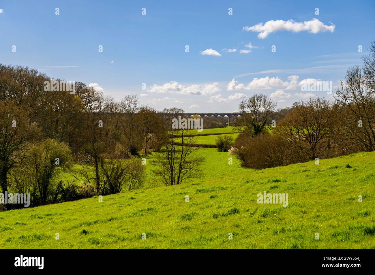 Vista sulle colline ondulate con erba verde brillante, boschi e il viadotto della valle di Ouse all'inizio della primavera vicino a Haywards Heath, West Sussex, Inghilterra. Foto Stock