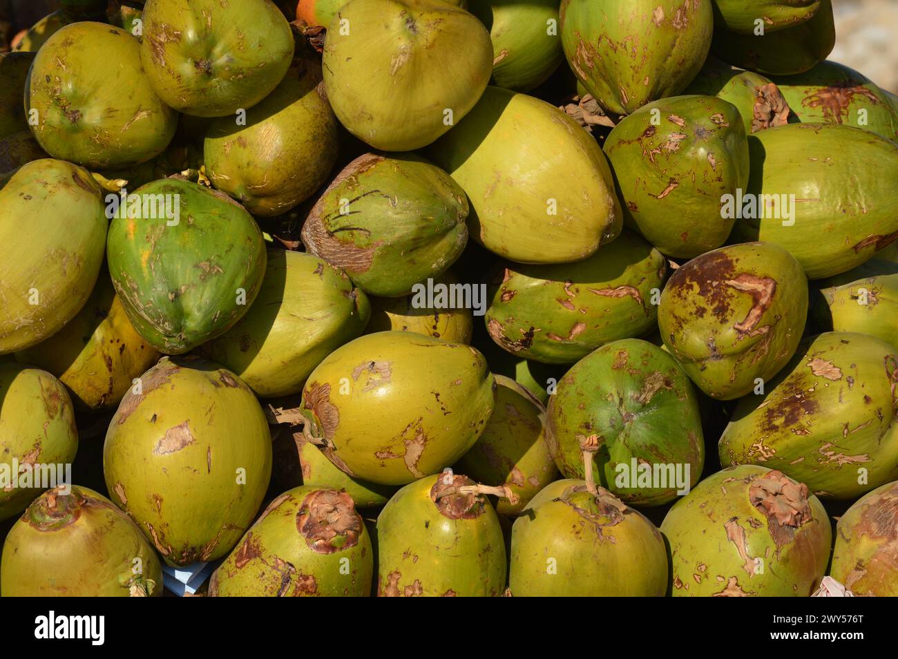 Noci di cocco verdi fresche sul mercato Foto Stock