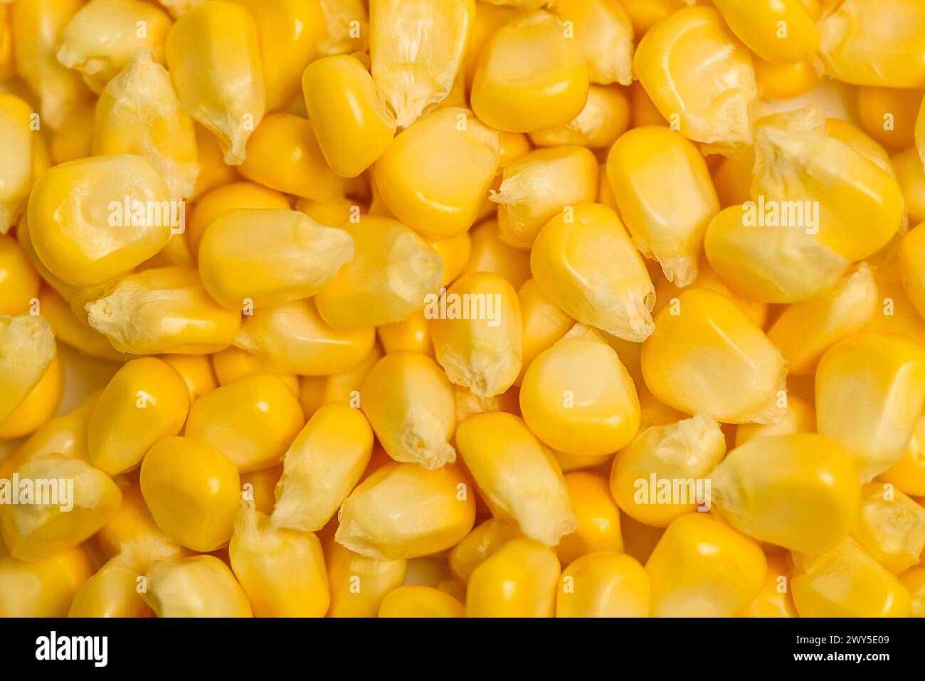 Primo piano di chicchi di mais dolce giallo. Foto Stock