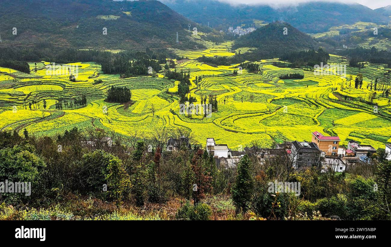 Vista aerea dei campi rurali cinesi con montagne e nuvole nel Luosi Field, Luoping China Foto Stock
