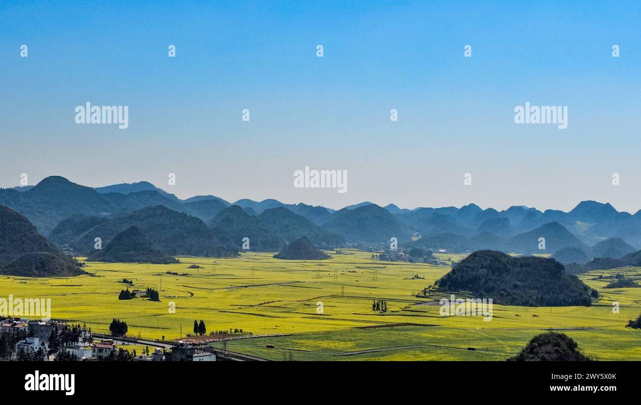 Vibranti fiori gialli fioriscono tra la tradizionale architettura cinese a Loupin Rooster Hills Foto Stock