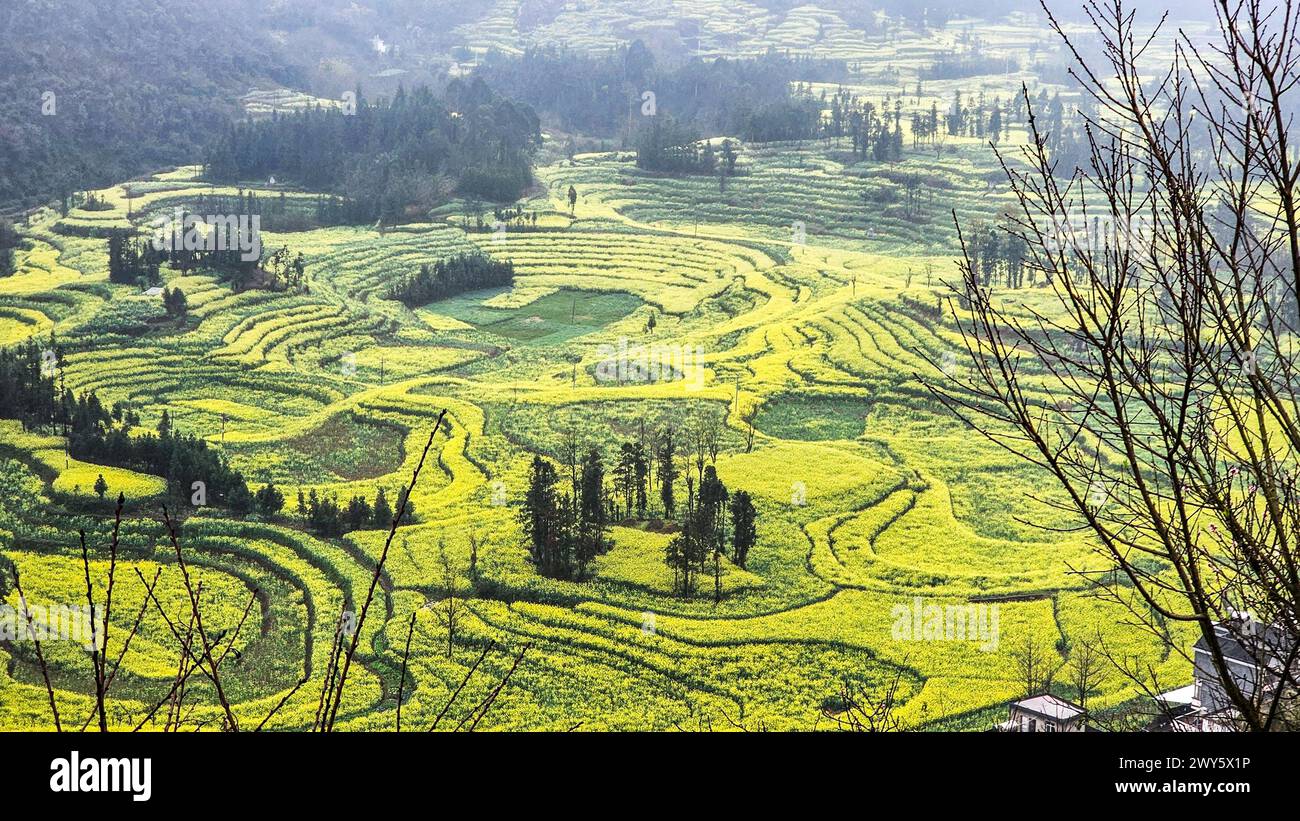Vista panoramica delle montagne estive di Luosi Field, Luoping China Foto Stock