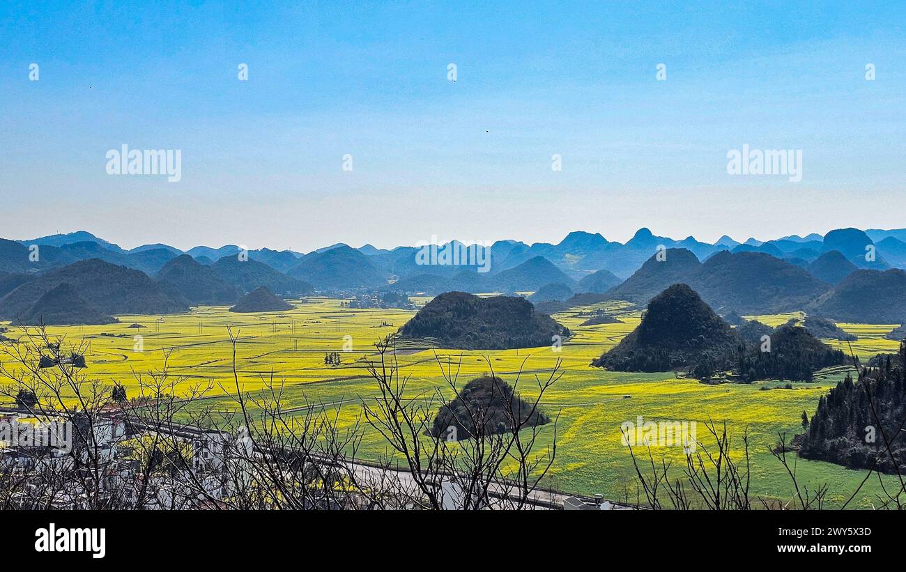 Vibranti fiori gialli fioriscono tra la tradizionale architettura cinese a Loupin Rooster Hills Foto Stock