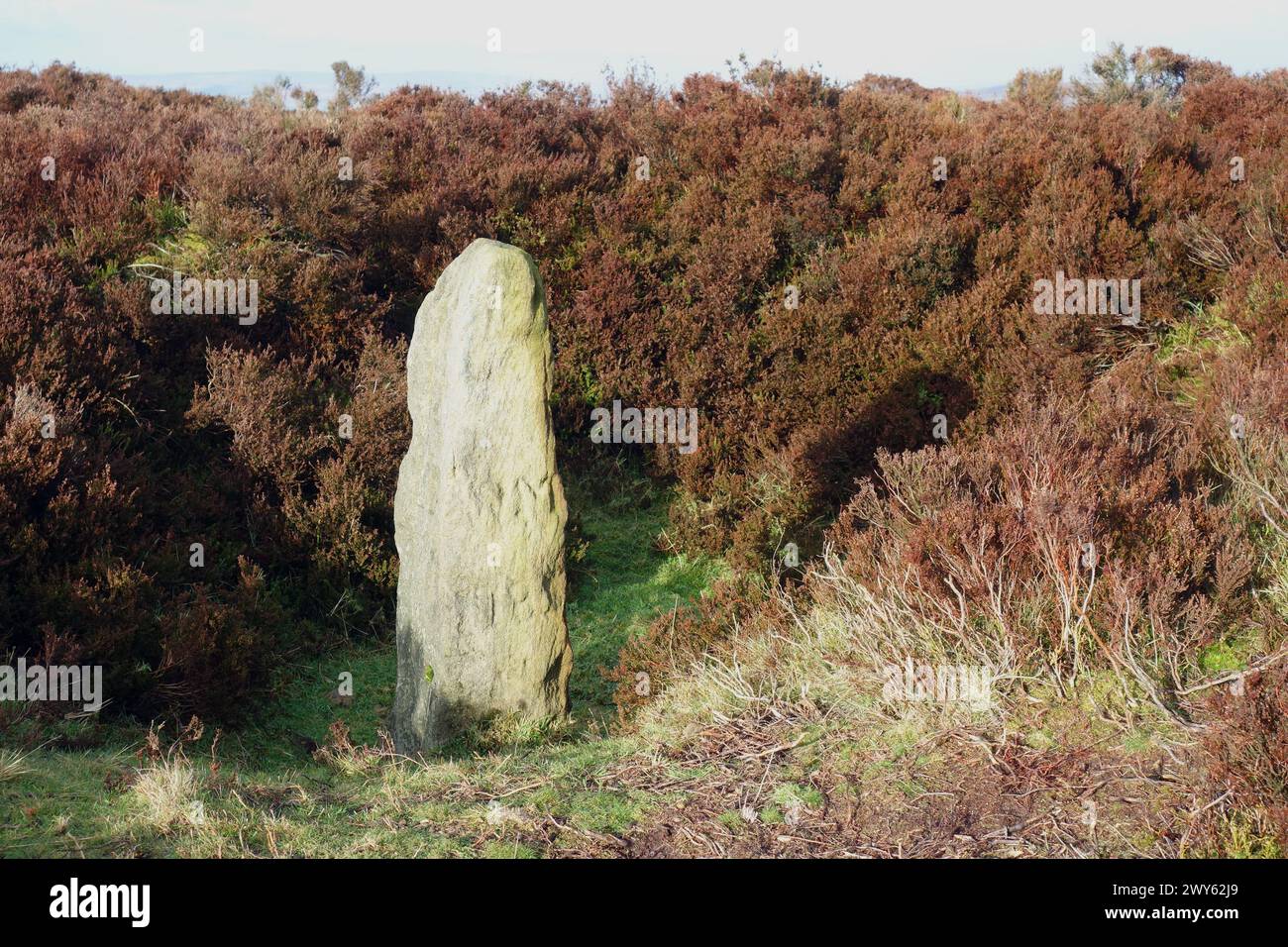 Lanshaw Lass an Old Boundary Saxon Stone sul percorso di collegamento Ebor Way/Dales Way a Ilkley Moor nel Parco nazionale Yorkshire Dales, Inghilterra, Regno Unito Foto Stock