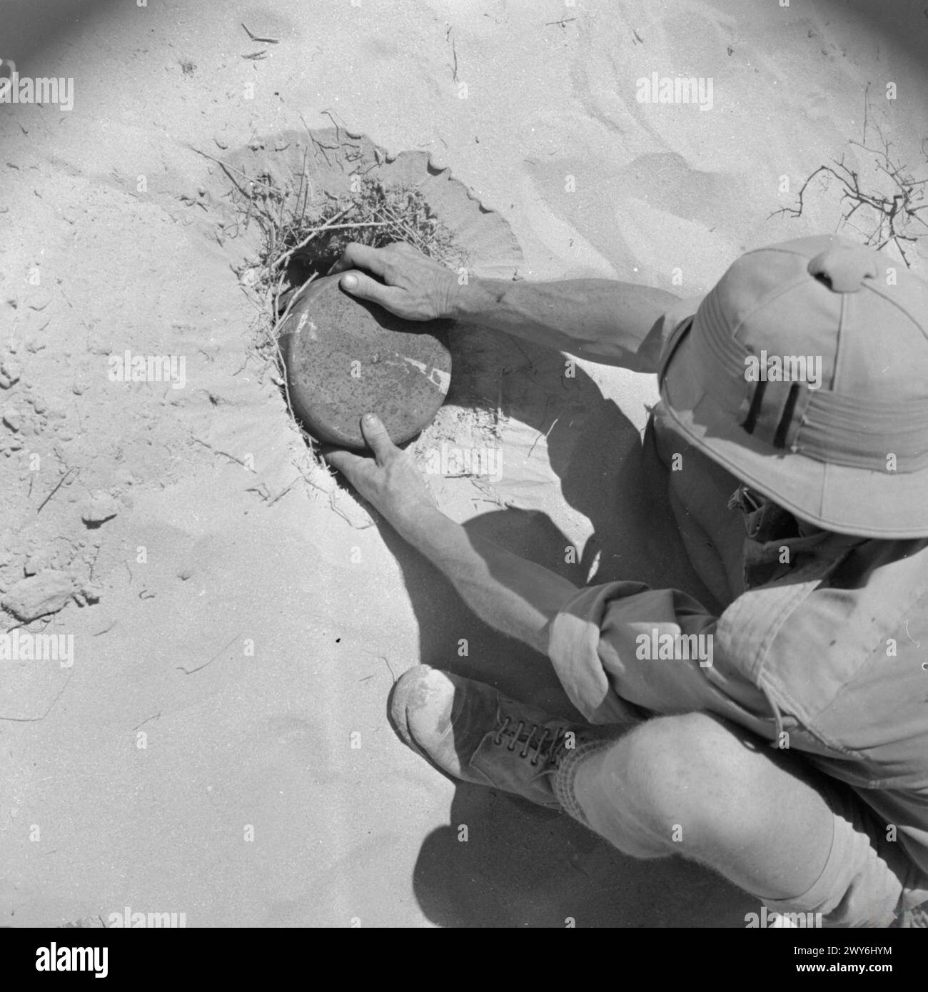 FORZE DEL COMMONWEALTH IN NORD AFRICA 1940-43 - Un sapper sudafricano che posa una miniera, Egitto, 2 luglio 1942. , Foto Stock
