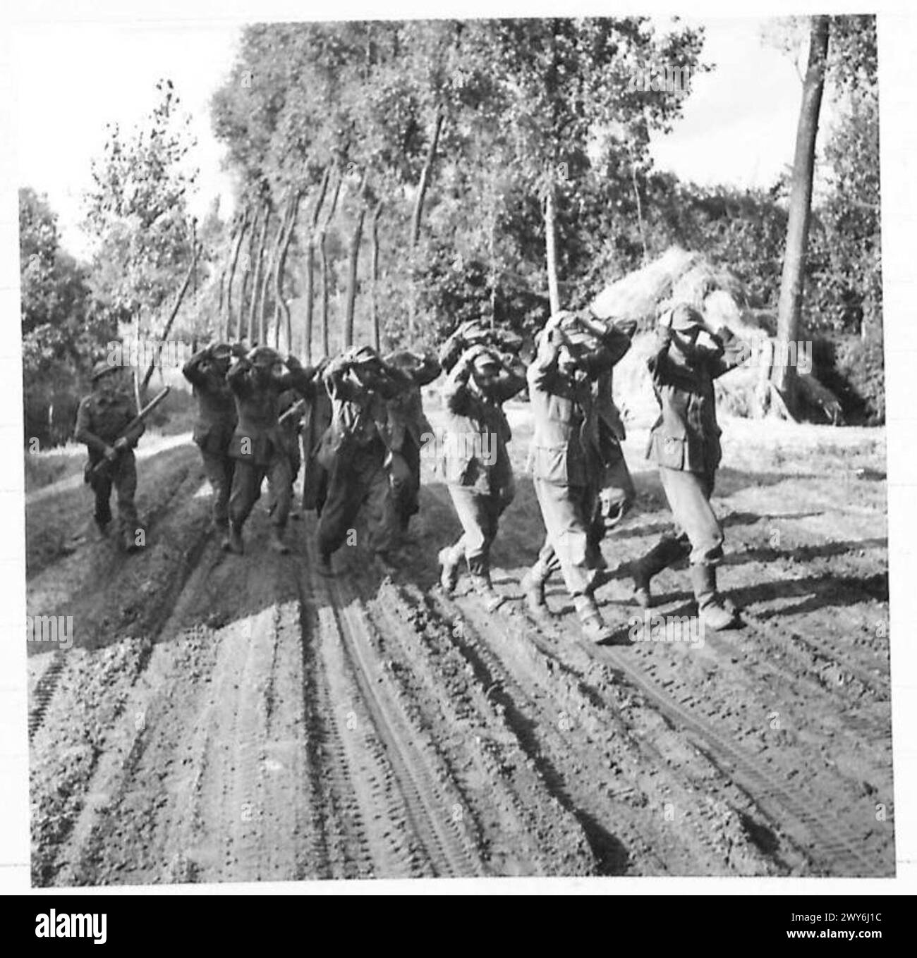 Prigionieri e rifugiati sono portati dal 10th Battalion H.L.I. dopo il bombardamento del tifone e dell'artiglieria vicino a Best at MAP reference 395305, sotto le operazioni del 21st Army Group. Foto Stock