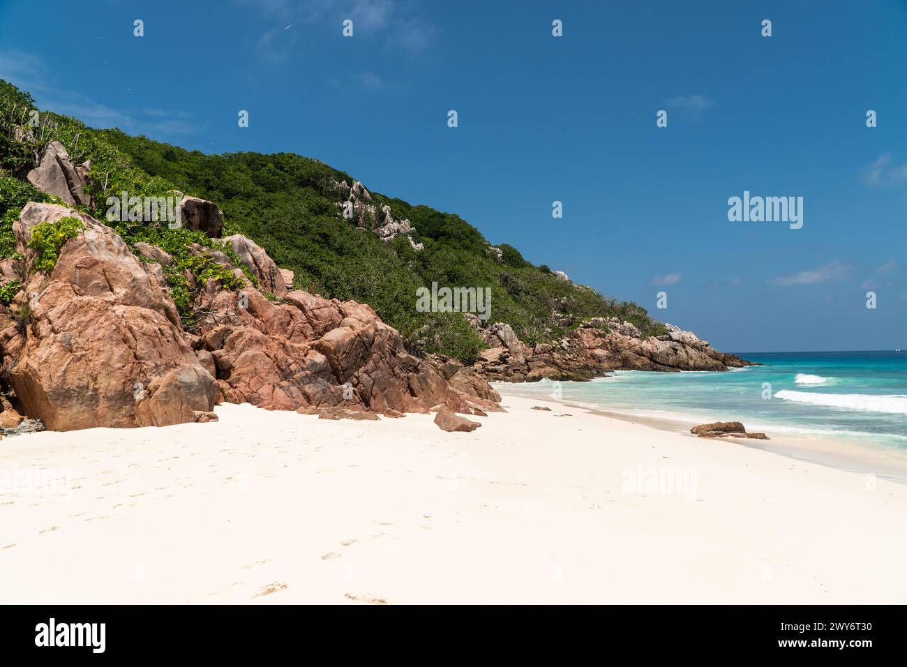 Isola di Aride, Seychelles Foto Stock