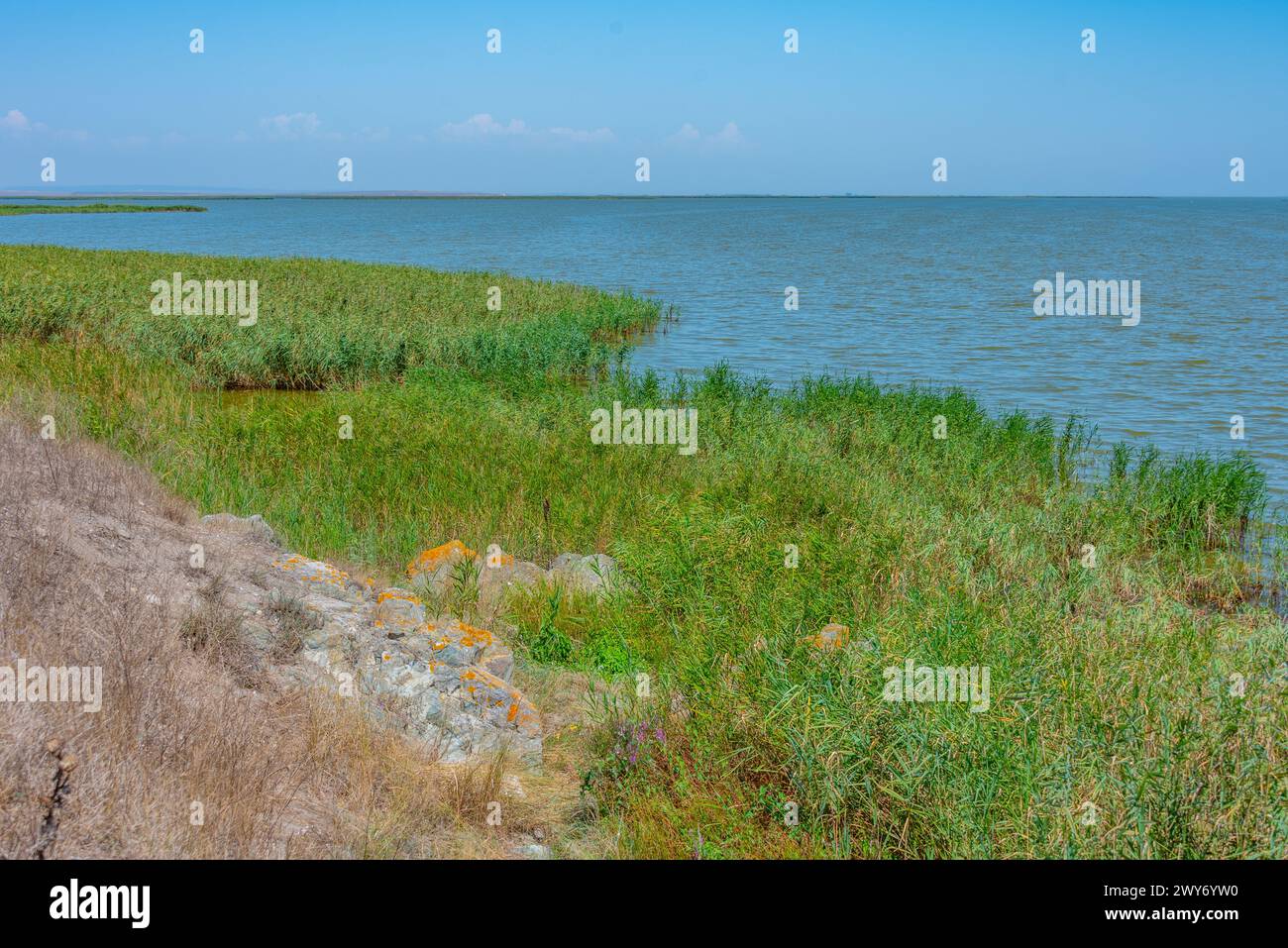 Giornata estiva sul delta del Danubio in Romania Foto Stock