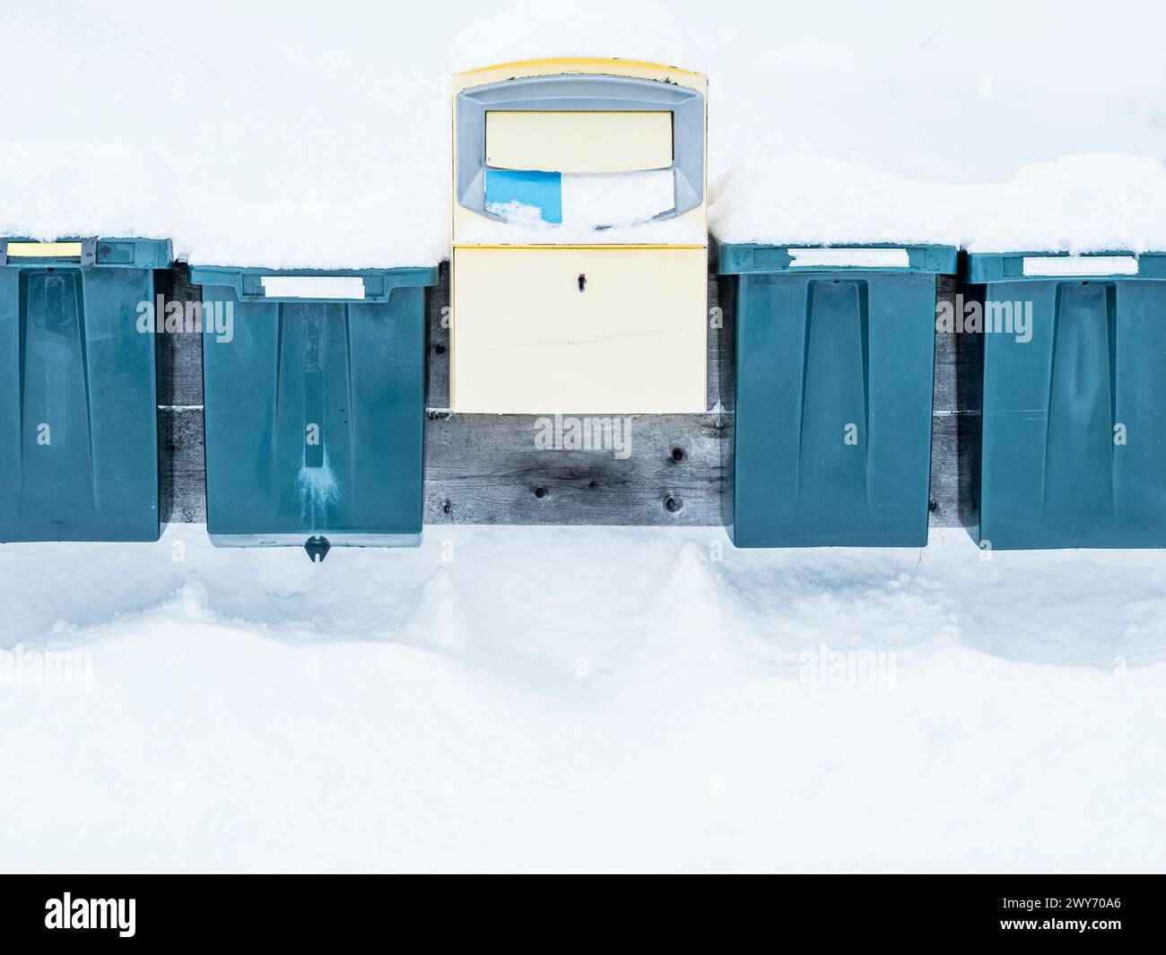 Una fila di cassette postali verdi parzialmente sepolte in uno spesso strato di neve bianca si distingue contro uno sfondo ventoso. Una casella postale gialla si trova al centro di t Foto Stock