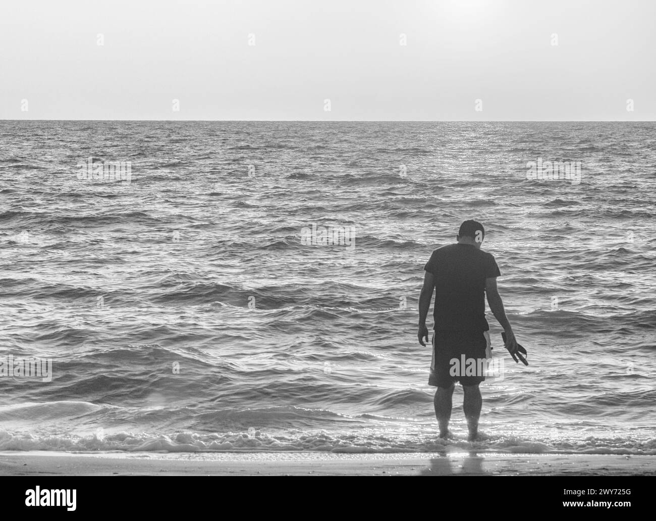 Il bianco e nero esalta i dettagli dell'immagine Foto Stock