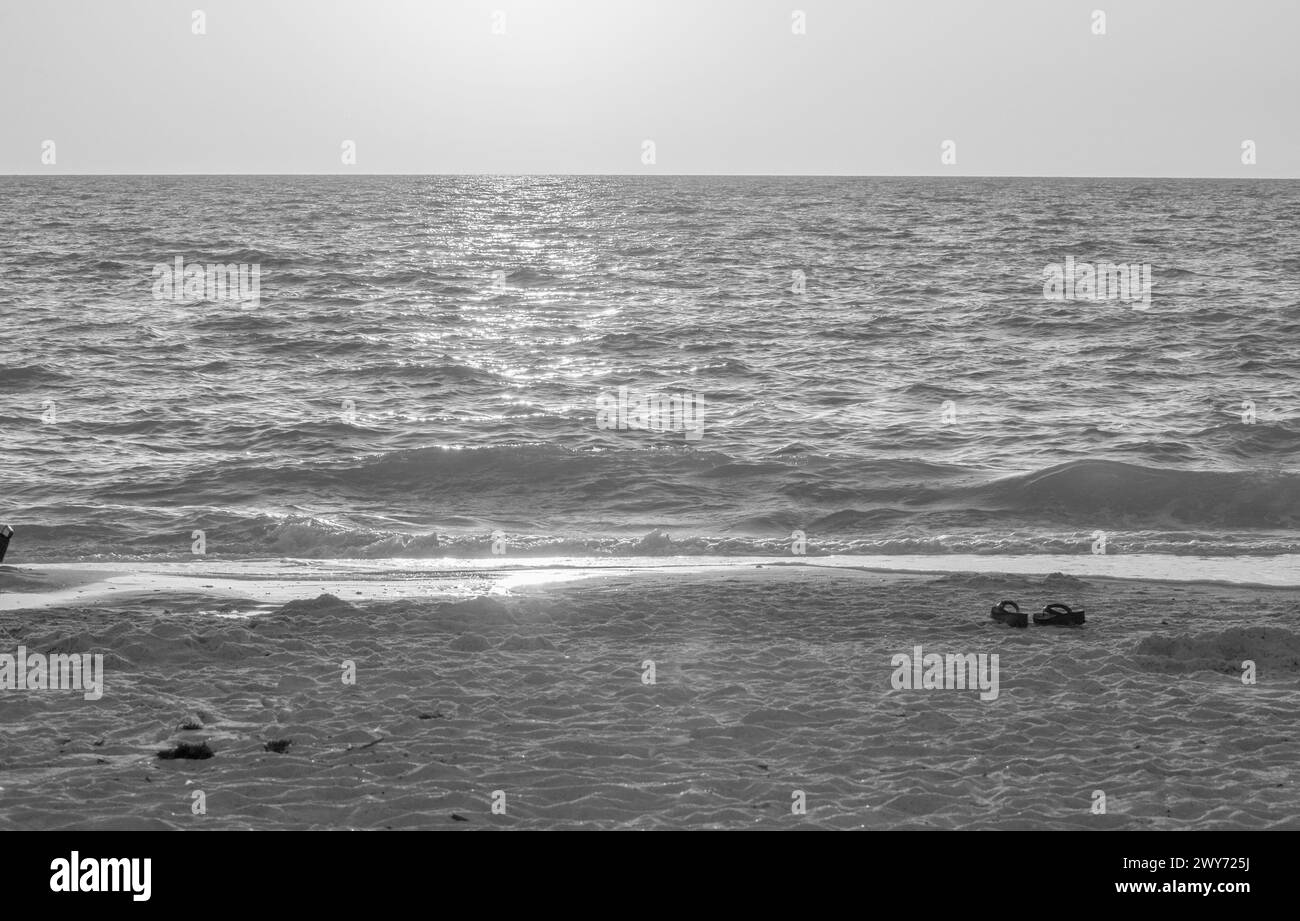 Il bianco e nero esalta i dettagli dell'immagine Foto Stock