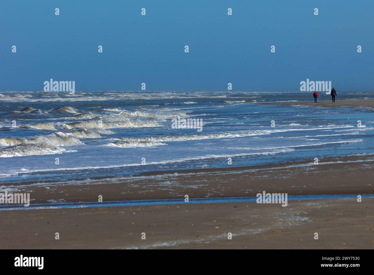 Egmond aan Zee, Paesi Bassi - 17 marzo 2022: Onde nell'aspro mare del Nord con alcune persone che camminano lungo la riva al sole Foto Stock