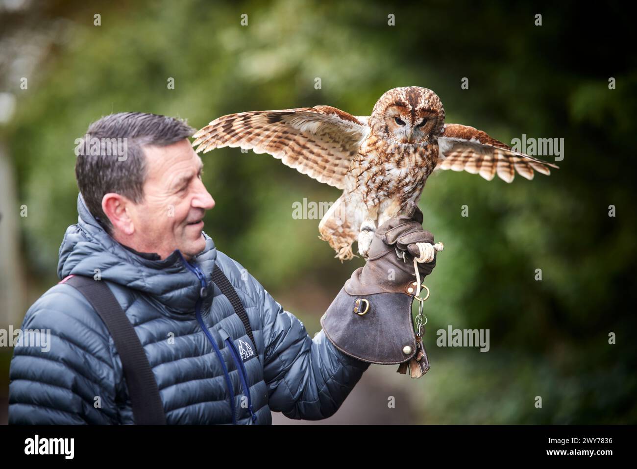 David Wilson Homes ha fatto una donazione al Turbary Woods Owl and Bird of Prey Sanctuary. Nella foto Andy Bilsborough, proprietario dell'ente di beneficenza Foto Stock