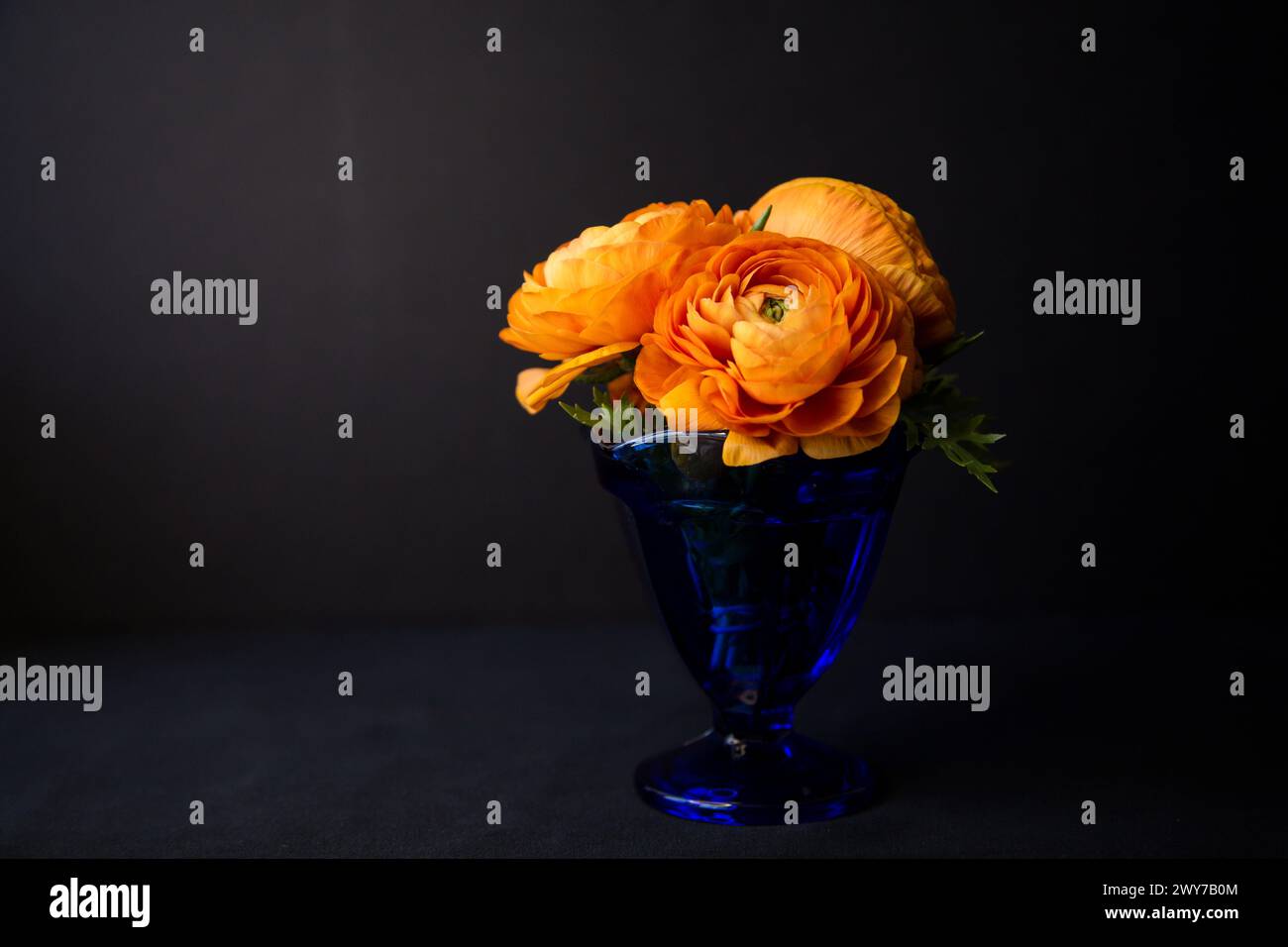 Un bouquet di fiori arancioni persiani, chiamato anche Ranunculus, in un vaso reale di vetro blu su sfondo nero natura morta. Foto Stock
