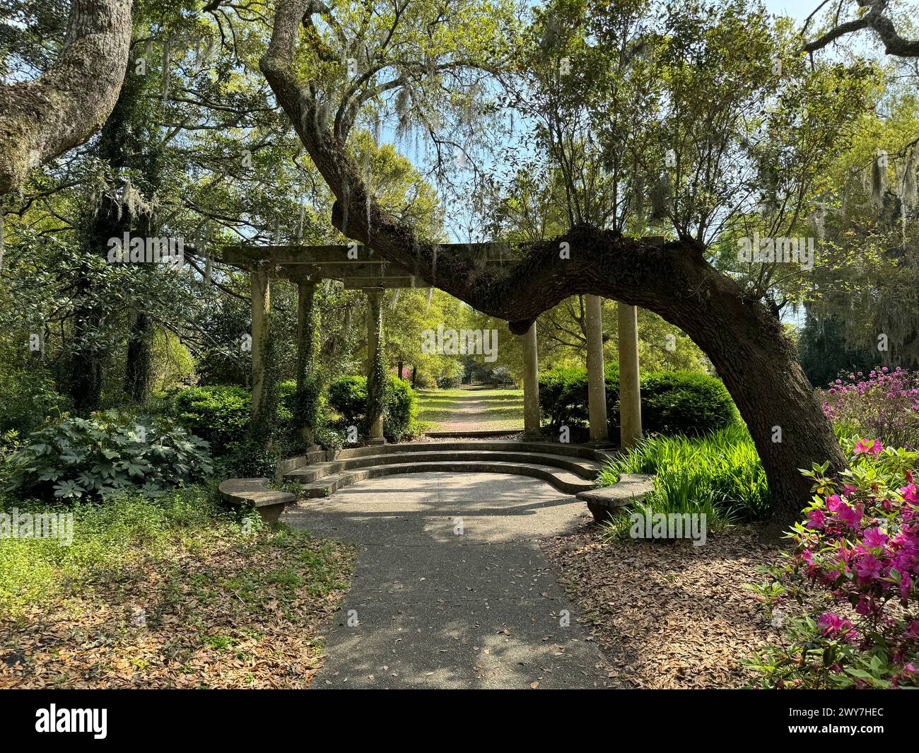 Un percorso attraverso un giardino fino ad un edificio lontano con fiori viola Foto Stock