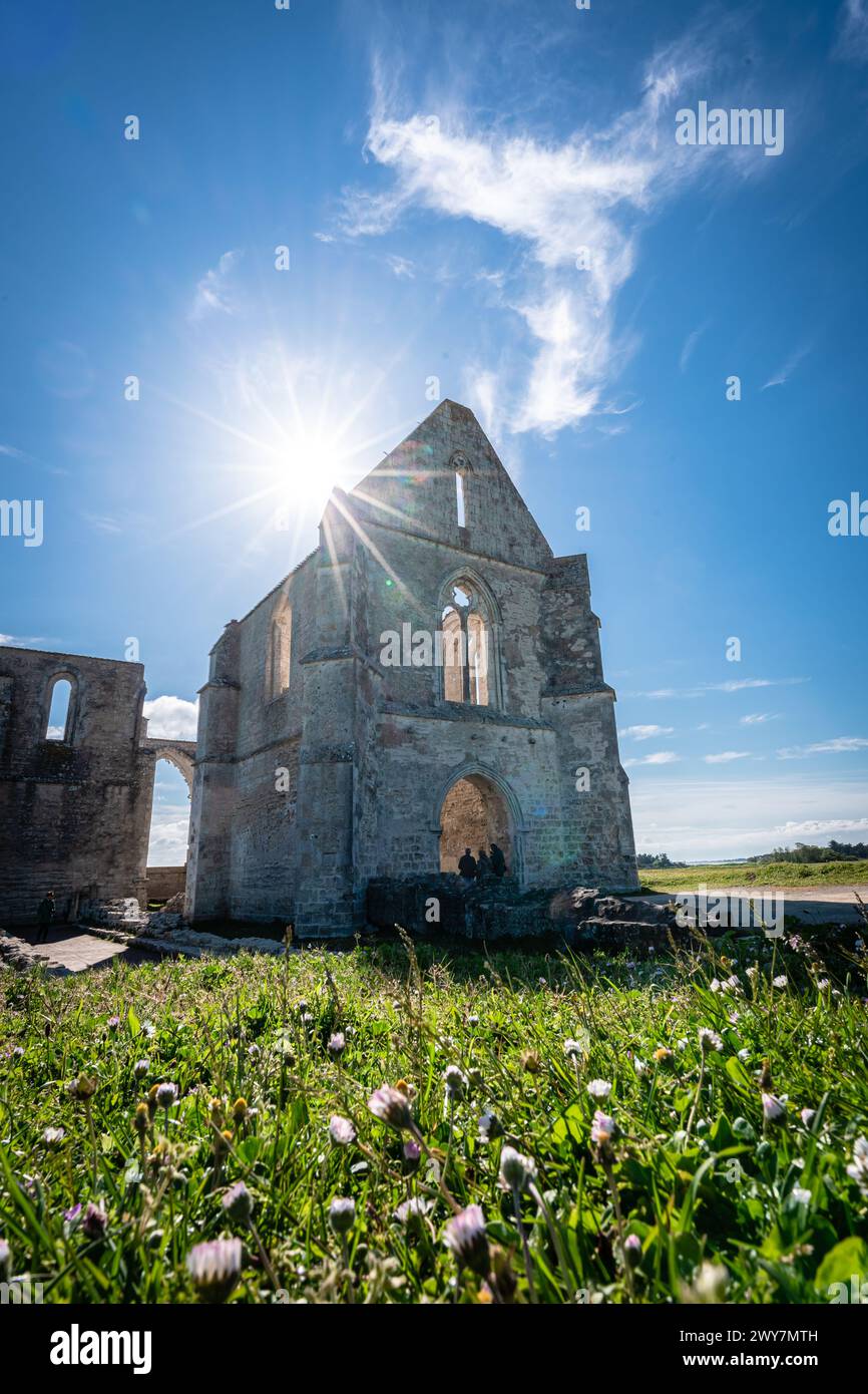 La rovina dell'abbazia degli chateliers del XL secolo sull'isola di ile de re, francia. Foto Stock