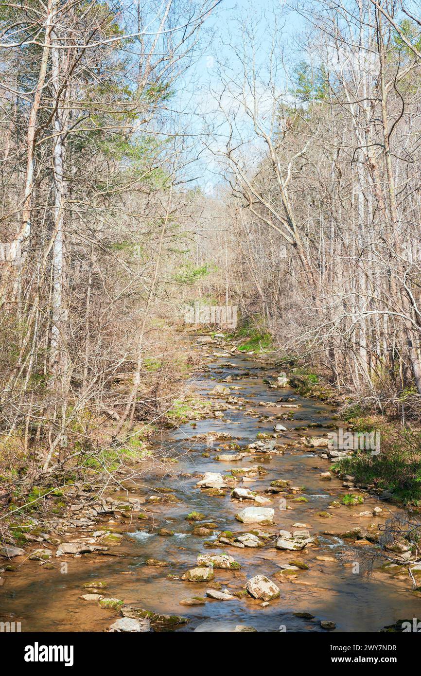 Cedar Creek presso il Natural Bridge State Park. Cedar Creek è un affluente del fiume James. Virginia. STATI UNITI Foto Stock