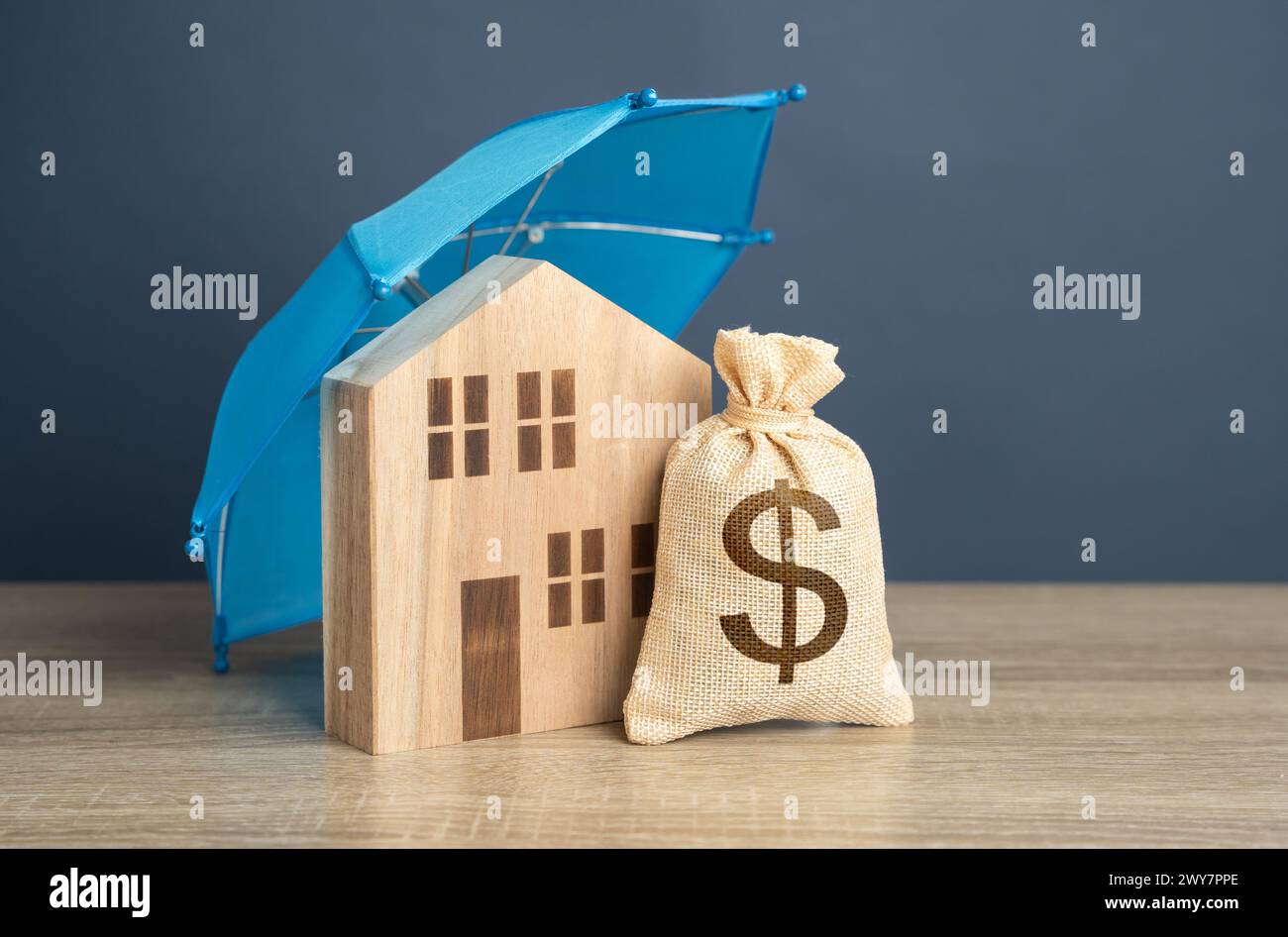 Casa con un sacco di soldi da un dollaro e un ombrello blu. Sicurezza finanziaria. Proteggete gli investimenti e preparatevi a eventi imprevisti. Riparazioni o ricostruzione in Foto Stock
