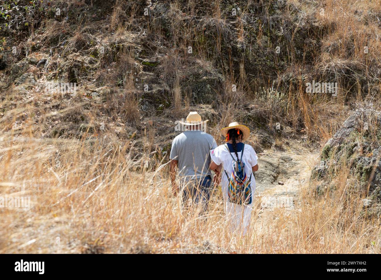 San Pablo Huitzo, Oaxaca, Messico - gli agricoltori fanno parte di una cooperativa che utilizza principi agroecologici. Evitano pesticidi e altre sostanze chimiche, A. Foto Stock