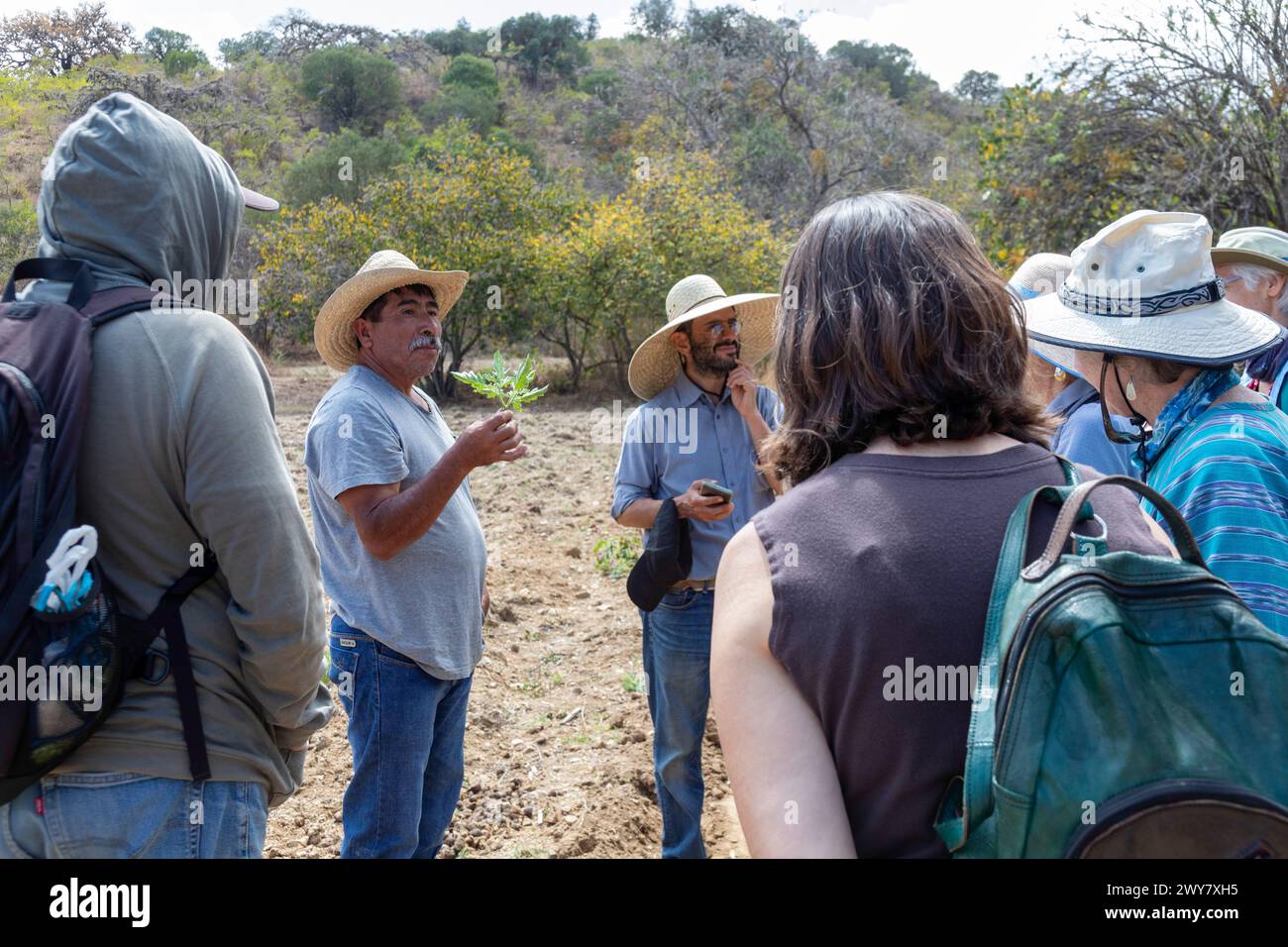 San Pablo Huitzo, Oaxaca, Messico - gli agricoltori fanno parte di una cooperativa che utilizza principi agroecologici. Evitano pesticidi e altre sostanze chimiche, A. Foto Stock