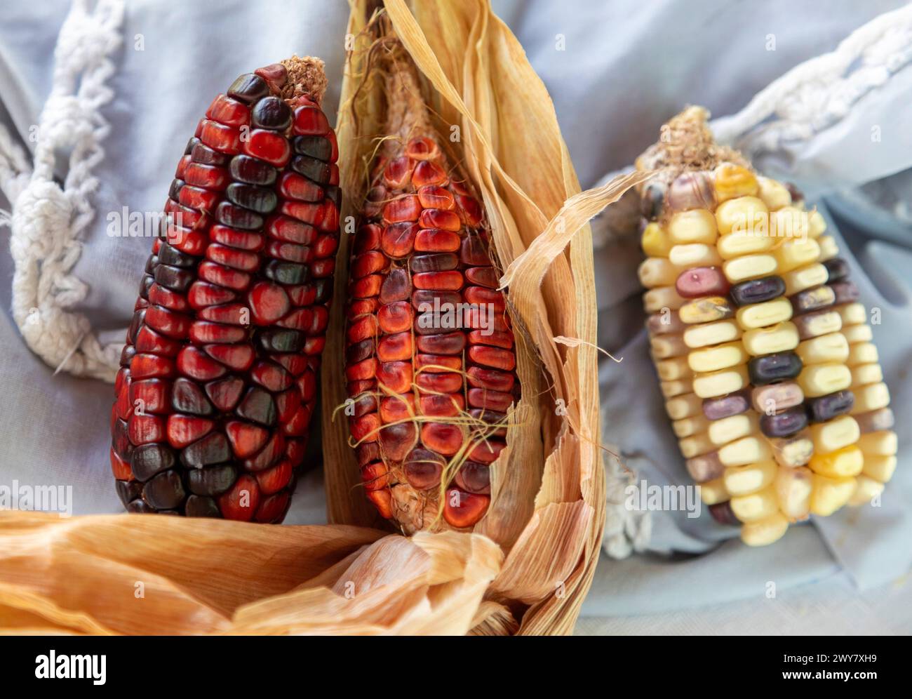 San Pablo Huitzo, Oaxaca, Messico - gli agricoltori fanno parte di una cooperativa che utilizza principi agroecologici. Evitano pesticidi e altre sostanze chimiche, A. Foto Stock