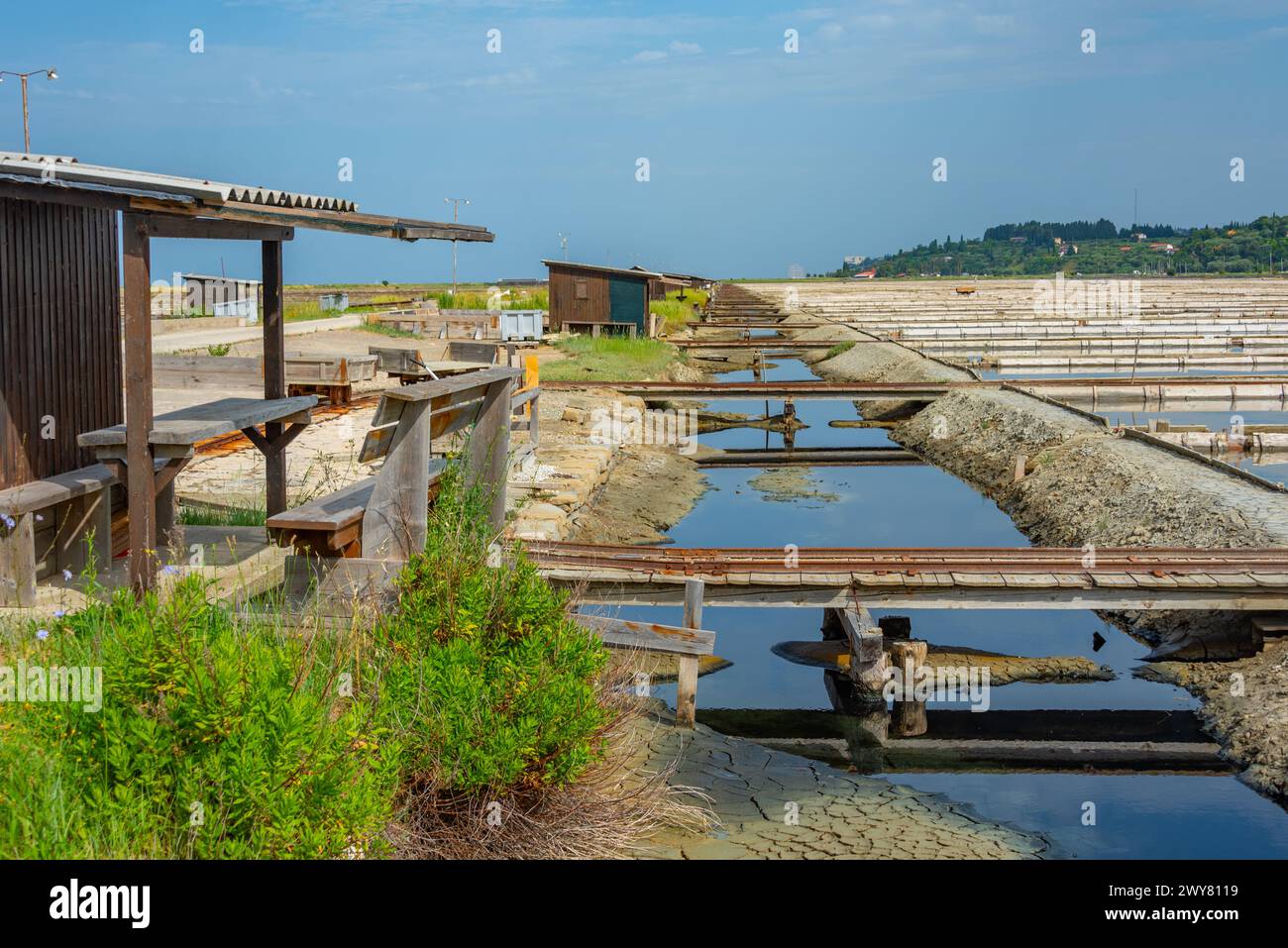 Vista del parco naturale Secovje Saltpans in Slovenia Foto Stock