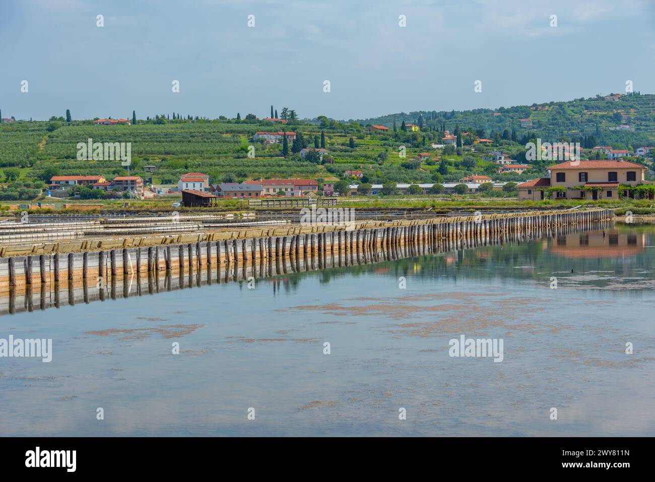 Vista del parco naturale Secovje Saltpans in Slovenia Foto Stock