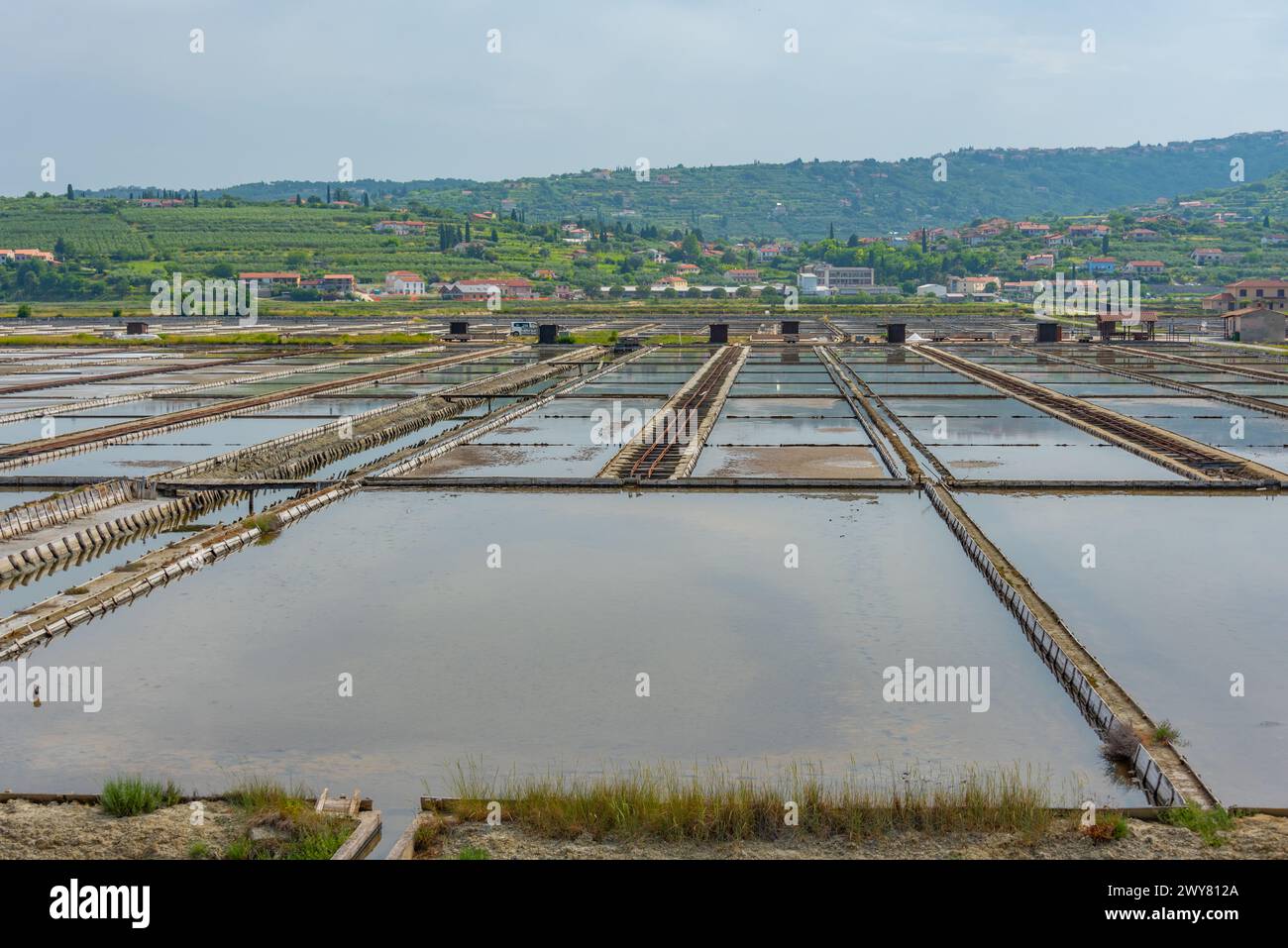 Vista del parco naturale Secovje Saltpans in Slovenia Foto Stock