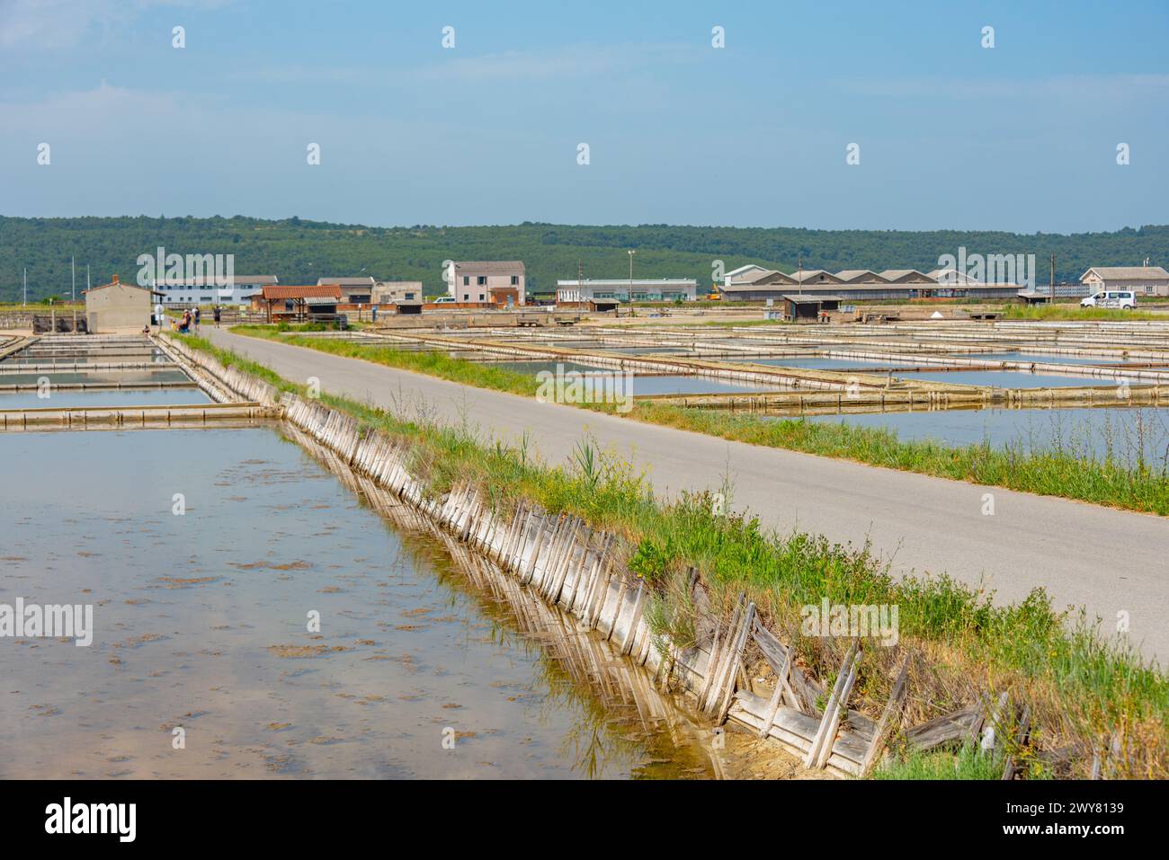 Vista del parco naturale Secovje Saltpans in Slovenia Foto Stock