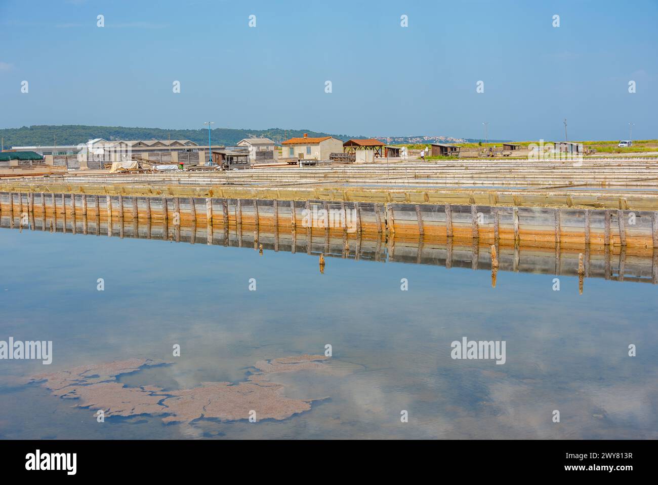Vista del parco naturale Secovje Saltpans in Slovenia Foto Stock