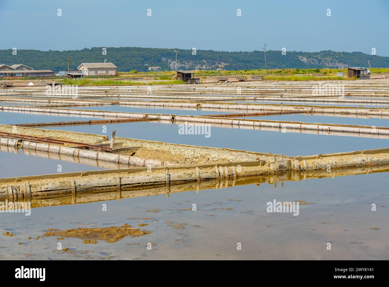 Vista del parco naturale Secovje Saltpans in Slovenia Foto Stock