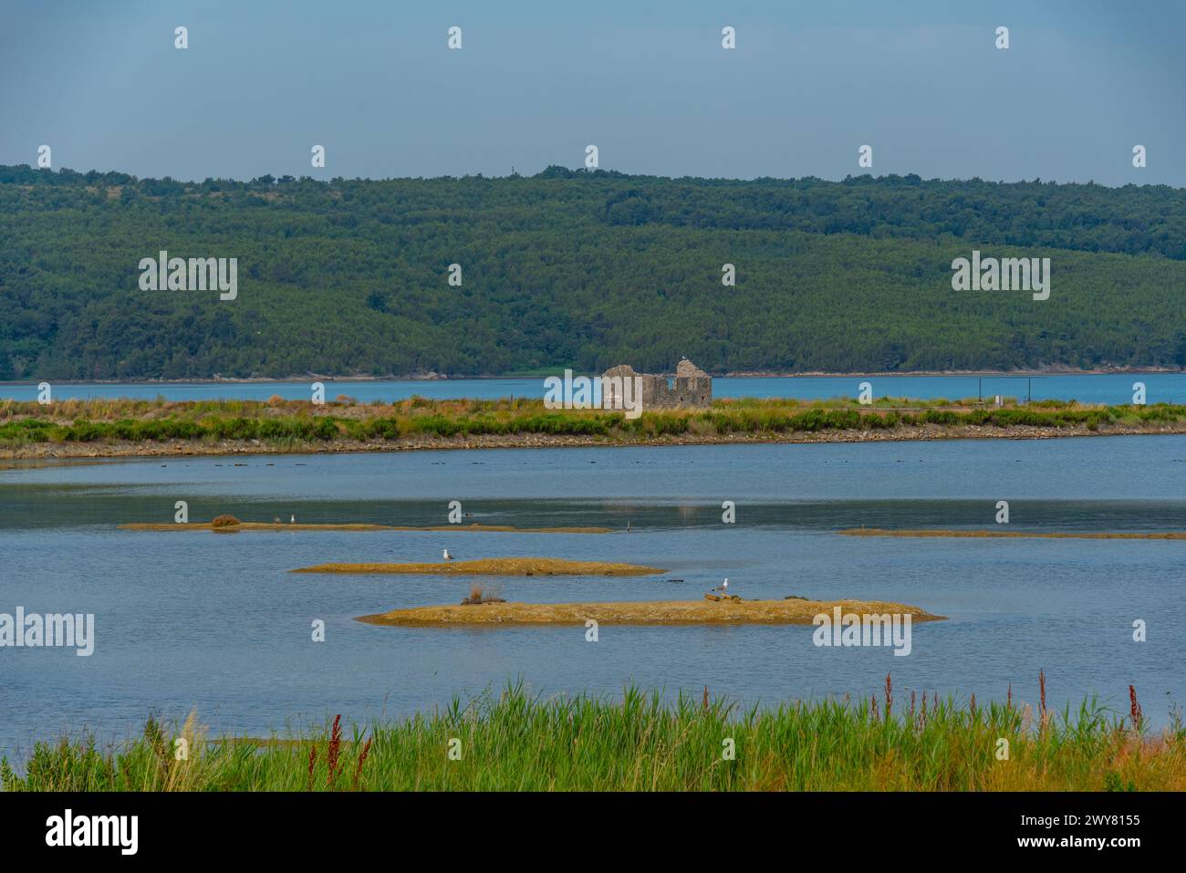 Vista del parco naturale Secovje Saltpans in Slovenia Foto Stock