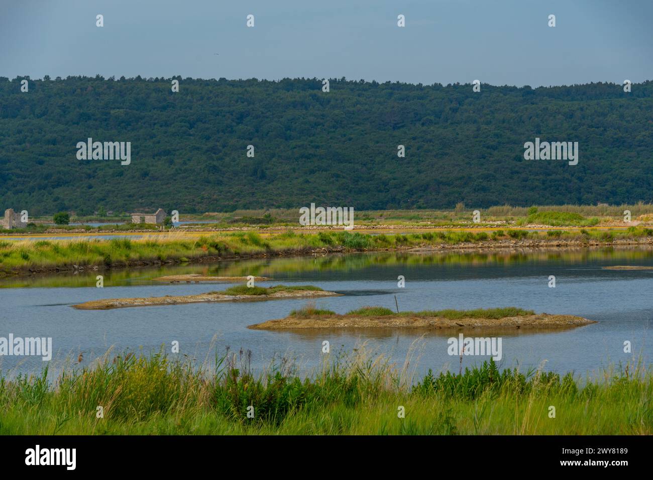 Vista del parco naturale Secovje Saltpans in Slovenia Foto Stock