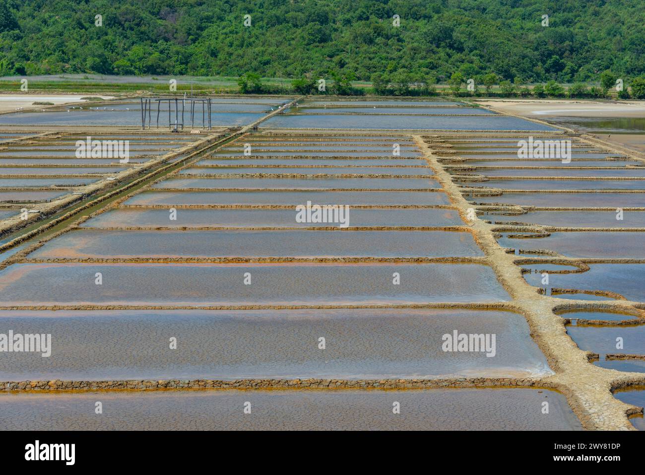 Vista del parco naturale Secovje Saltpans in Slovenia Foto Stock