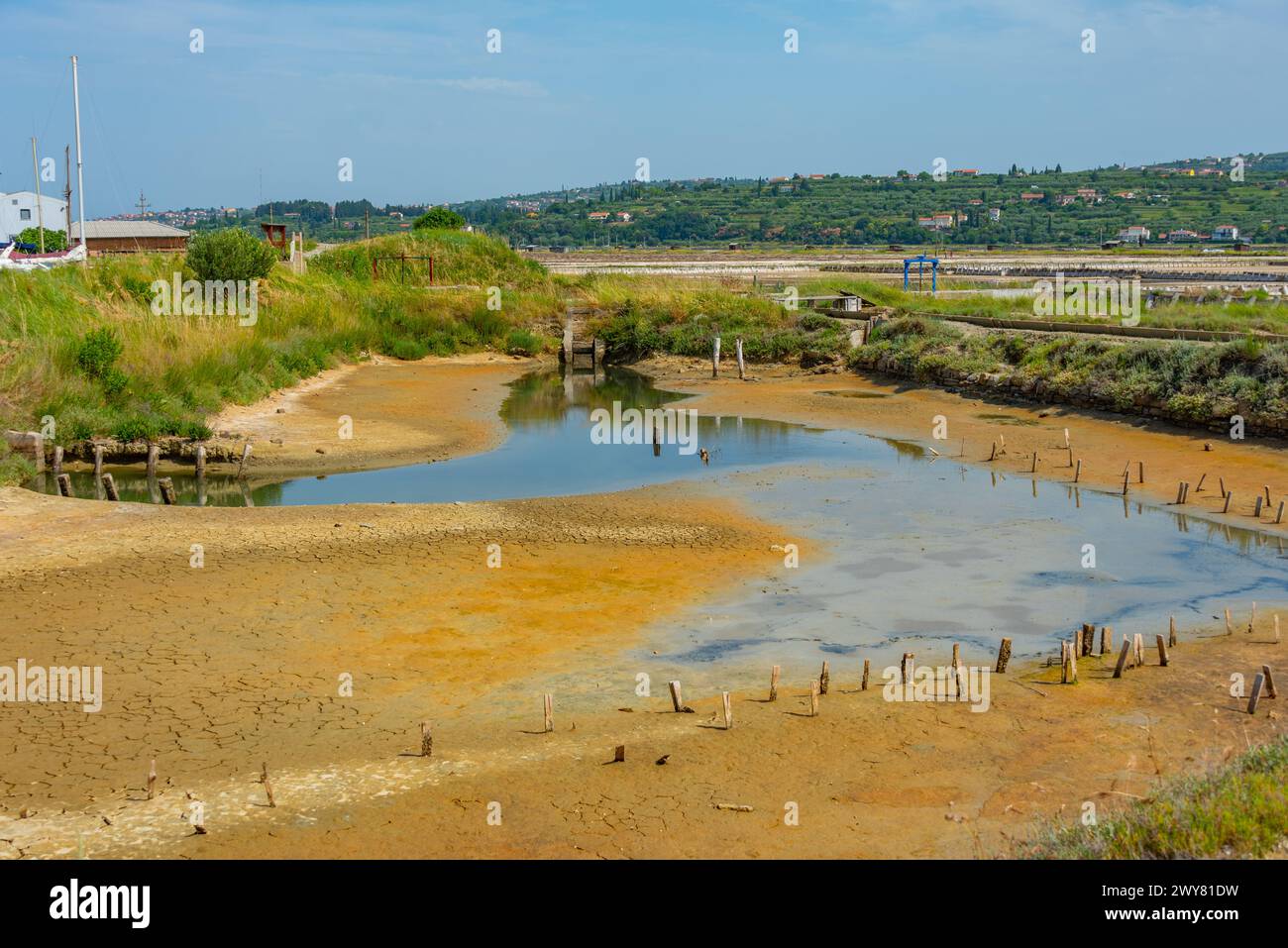 Vista del parco naturale Secovje Saltpans in Slovenia Foto Stock