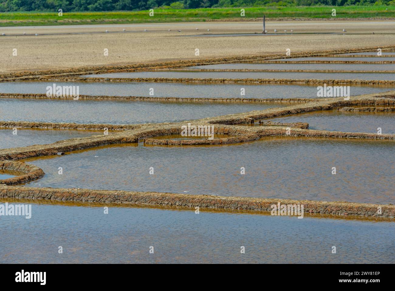 Vista del parco naturale Secovje Saltpans in Slovenia Foto Stock