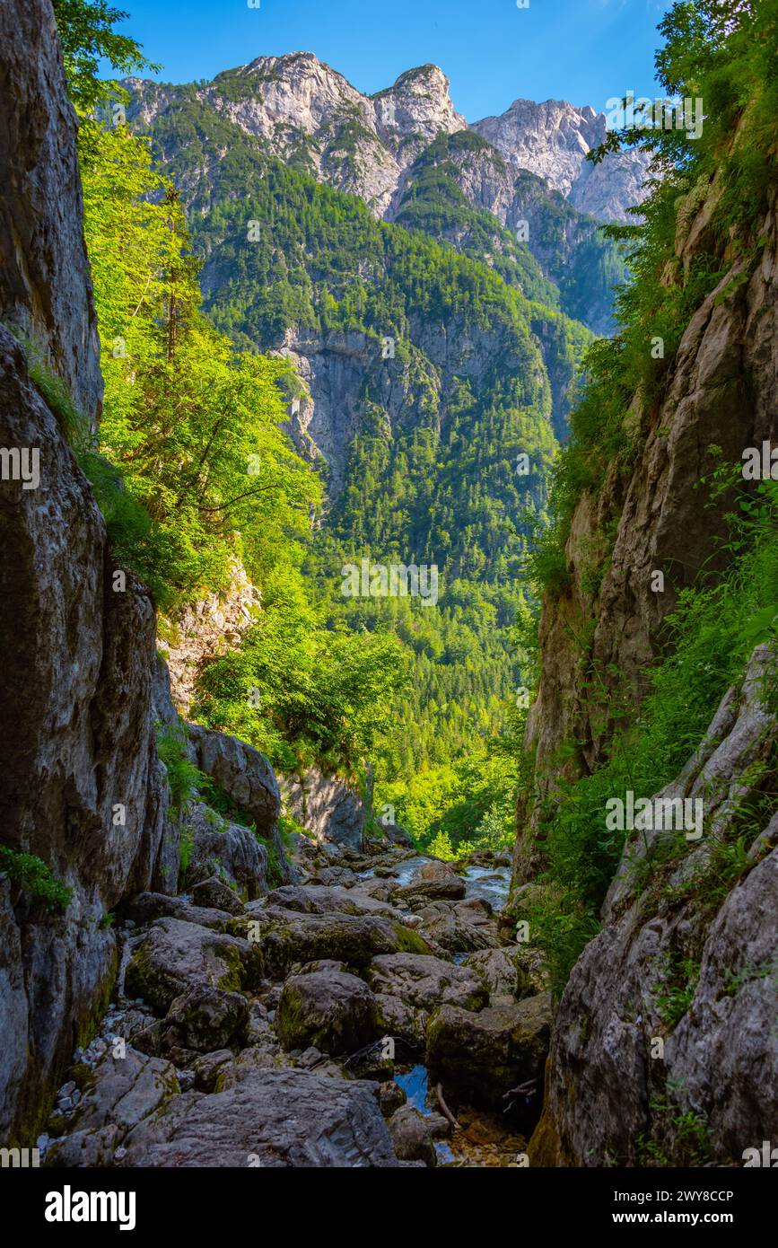Sorgente del fiume Soca in Slovenia Foto Stock