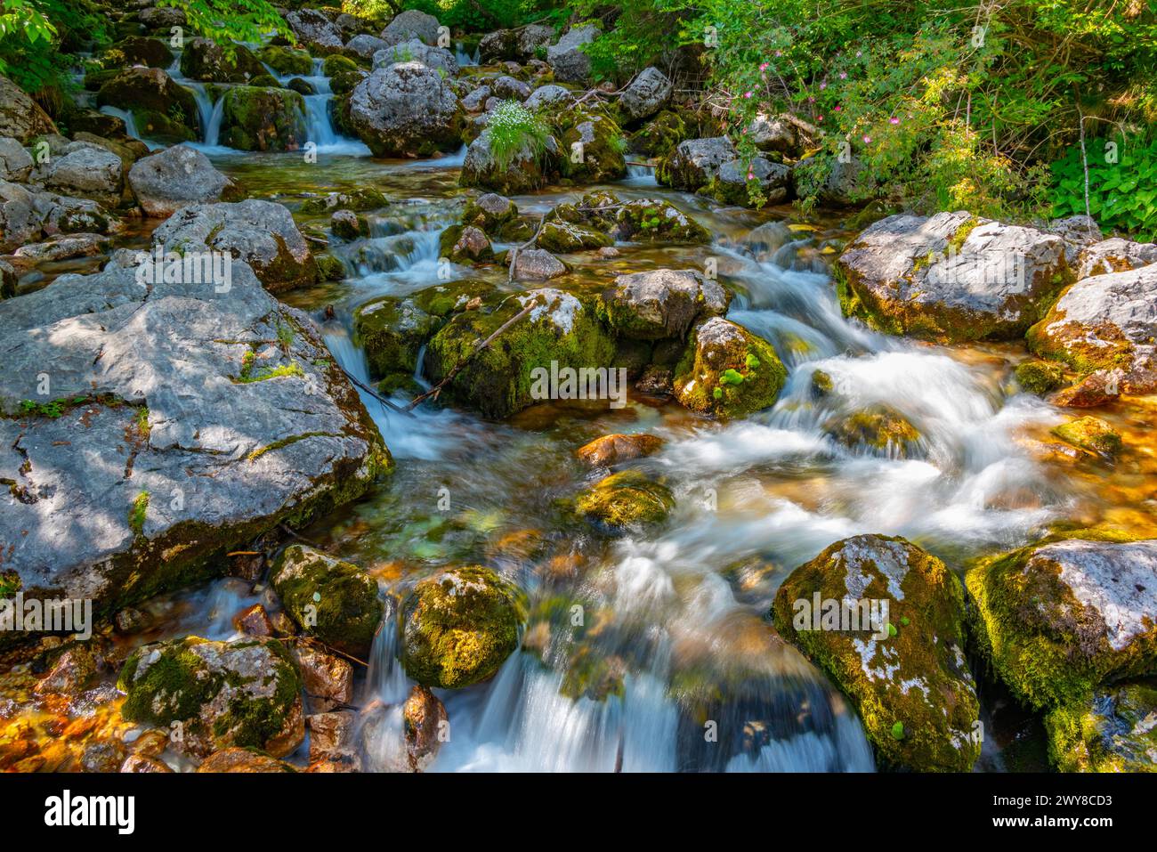 Sorgente del fiume Soca in Slovenia Foto Stock