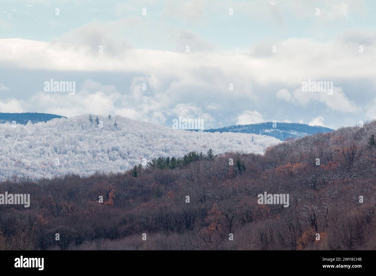 Strati di creste ricoperte di alberi con cieli nuvolosi sullo sfondo dopo una tempesta di neve in Cornovaglia, New York, il 20 novembre 2016. Foto Stock