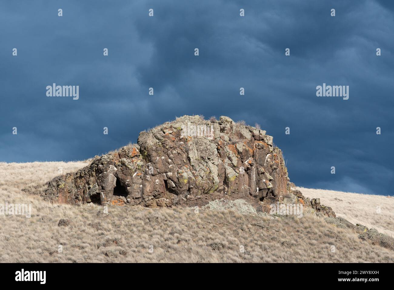 Affioramento basalto, Zumwalt Prairie, Oregon. Foto Stock