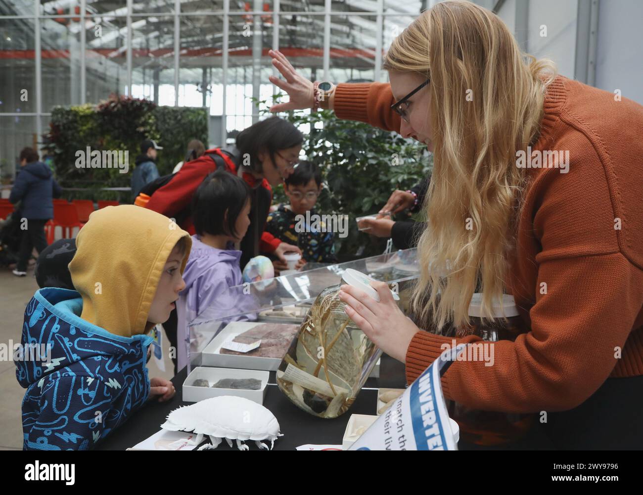 San Francisco, Stati Uniti. 4 aprile 2024. Le persone visitano la California Academy of Sciences durante l'Academy Day a San Francisco, California, Stati Uniti, 4 aprile 2024. La California Academy of Sciences ha celebrato il suo 171° anniversario con varie attività giovedì. Crediti: Liu Yilin/Xinhua/Alamy Live News Foto Stock